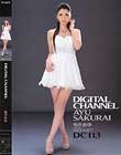 DIGITAL CHANNEL DC113 䂠